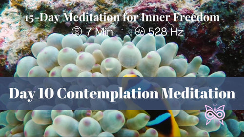 Contemplation Meditation